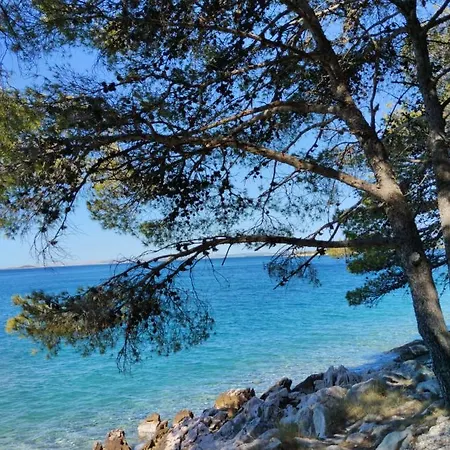 Mustel - Adults Only Apartment