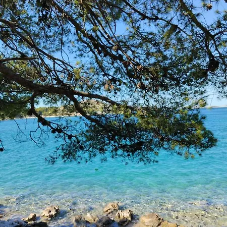 Mustel - Adults Only * Drage