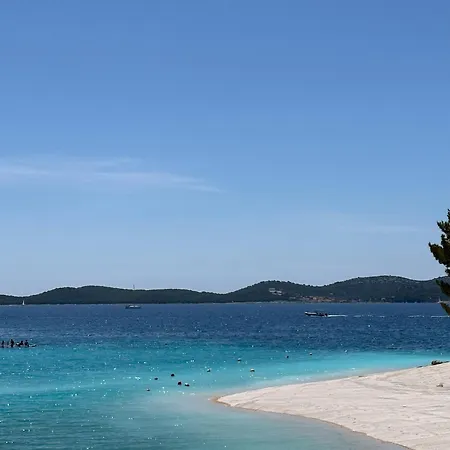 Mustel - Adults Only *