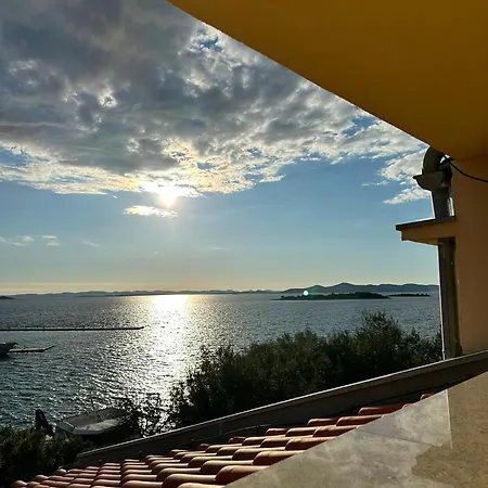 Mustel - Adults Only