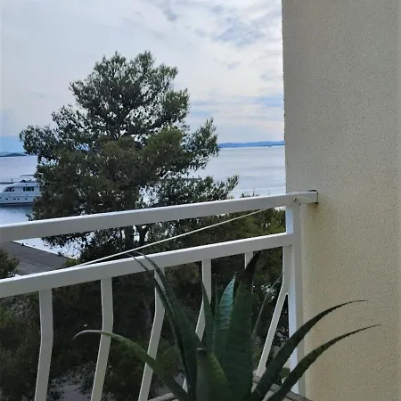 Mustel - Adults Only