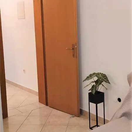 Mustel - Adults Only