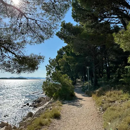 Mustel - Adults Only *