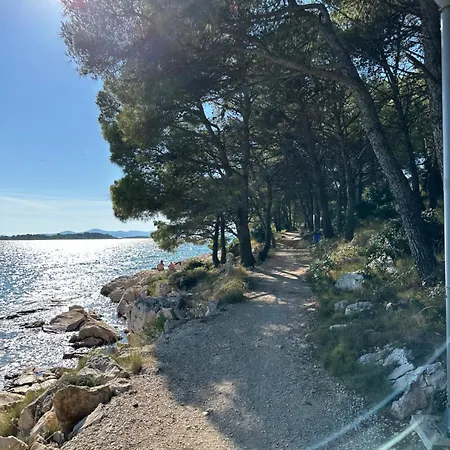 Mustel - Adults Only * Драге