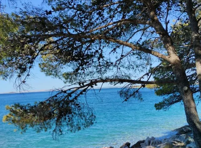 Mustel - Adults Only Apartment