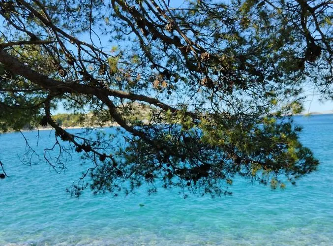 Mustel - Adults Only * Драге