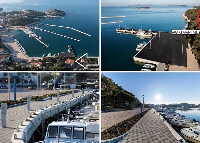 Mustel - Adults Only