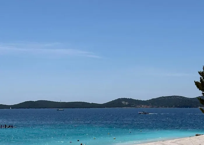 Mustel - Adults Only *