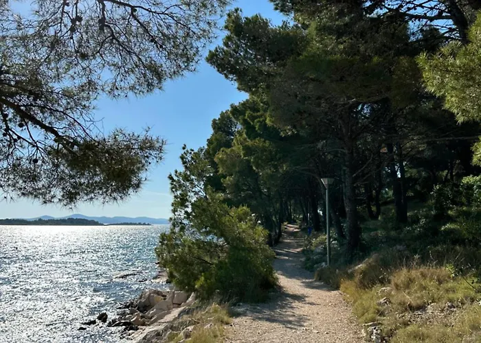 Mustel - Adults Only *