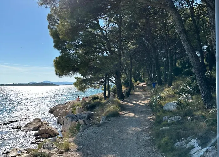 Mustel - Adults Only * Drage