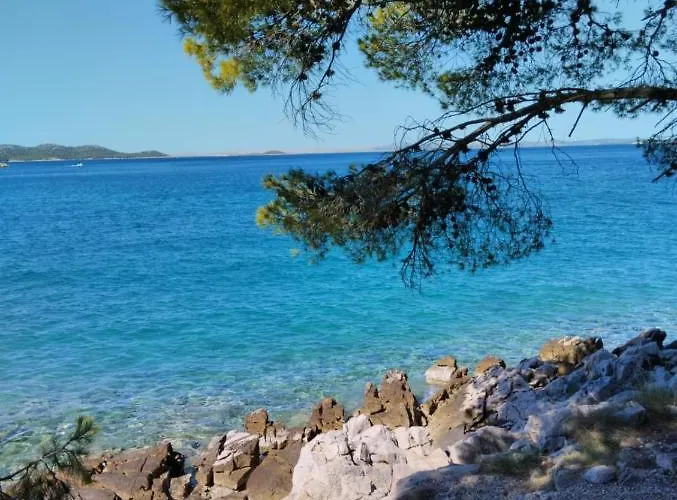 Mustel - Adults Only Drage