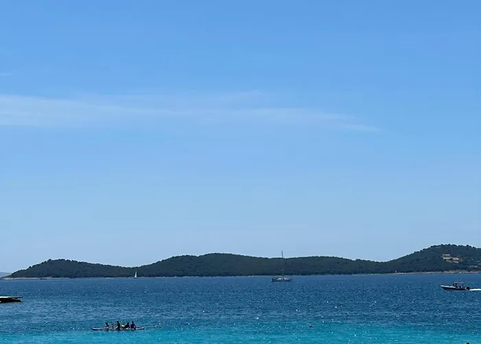 Mustel - Adults Only Drage